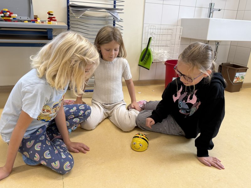 Beebots